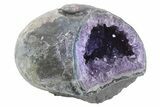 Purple Amethyst Geode with Polished Face - Uruguay #233605-1